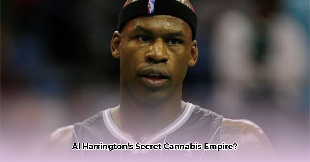 al-harrington-net-worth